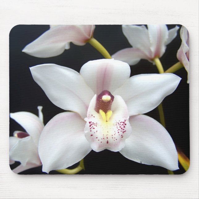 Beautiful Orchid Mouse Pad (Front)