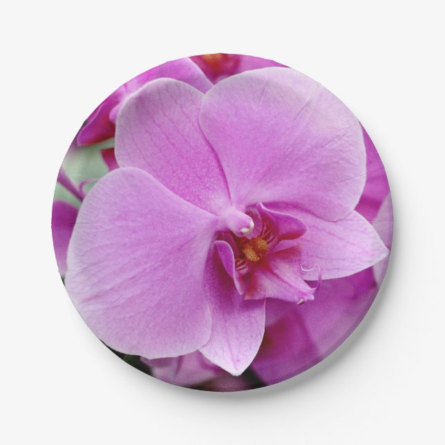 Beautiful Orchid Paper Plate (Front)