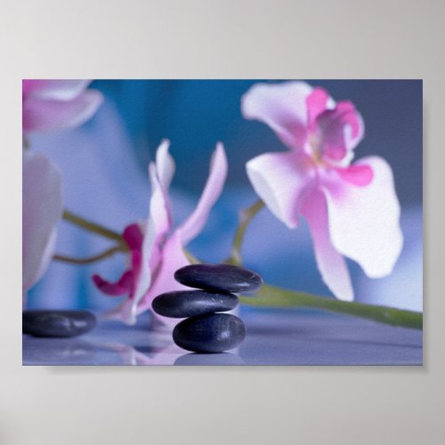 Beautiful Orchid  Zen Stones Poster