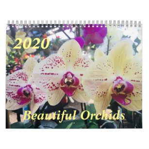 Beautiful Orchids 2020 Calendar