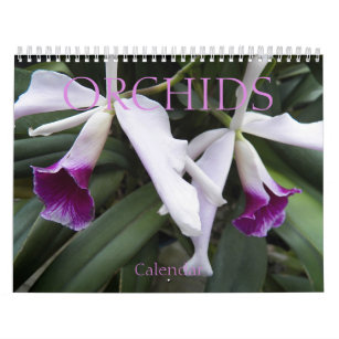 Beautiful Orchids Floral Photographic Calendar