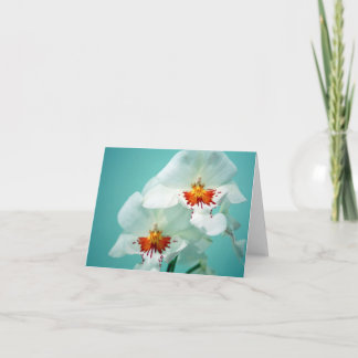 Beautiful Orchids Note Card