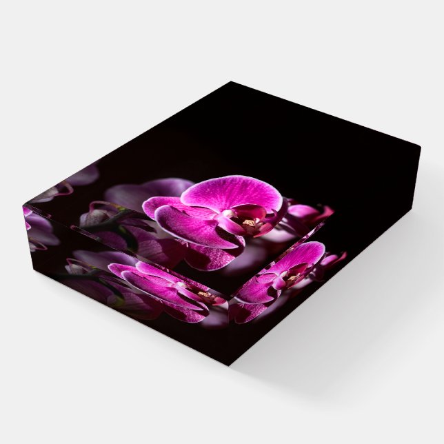 Beautiful Orchids Paperweight (Angled)