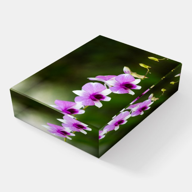Beautiful Orchids Paperweight (Angled)