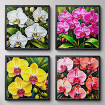 Beautiful Orchids