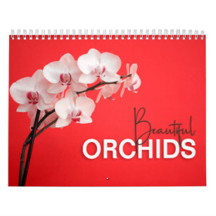 Beautiful Orchids with Notes Wall Calendar