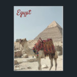 Beautiful oriental, Pyramids Camel Egypt postcard<br><div class="desc">Beautiful oriental,   with Pyramids and  camel Egypt postcard.</div>