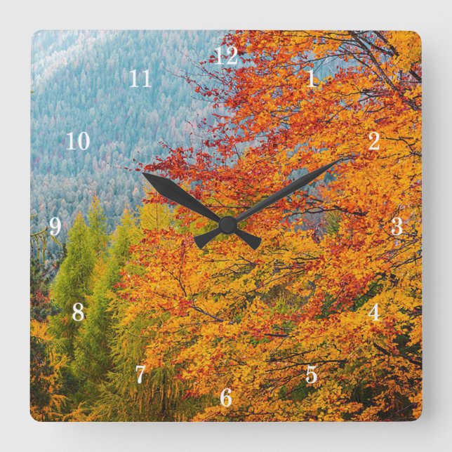 Beautiful Outdoor Scenery Wall Clock (Front)