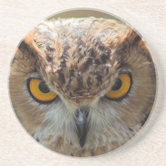Beautiful Owl Drink Coaster (Front)