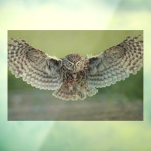 BEAUTIFUL "OWL IN FLIGHT" WINDOW CLING