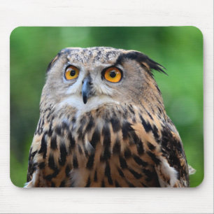 Beautiful Owl Mouse Pad