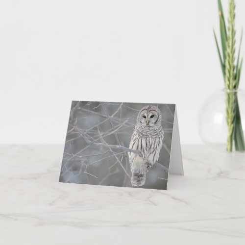 Beautiful Owl Note Card