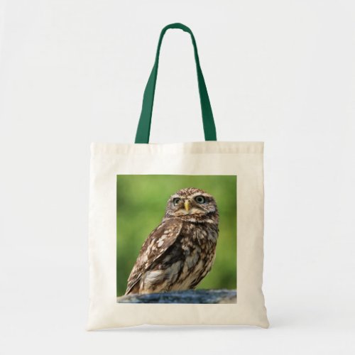 Beautiful Owl photo shopping tote bag