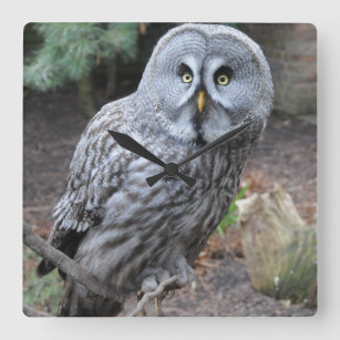Beautiful Owl Photo Wall Clock