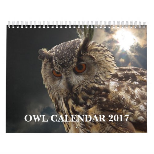 Beautiful Owl Pictures and Images 2017 Calendar
