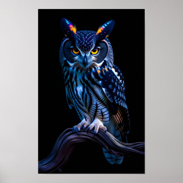 Beautiful Owl  Poster (Front)