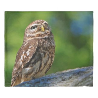 Owl Print Duvet Cover