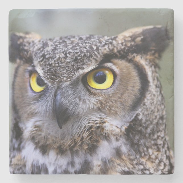 Beautiful Owl Stone Coaster (Front)