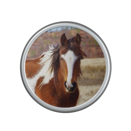 Beautiful Paint Horse Bumpster Speaker