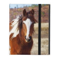 Beautiful Paint Horse iPad Folio Case