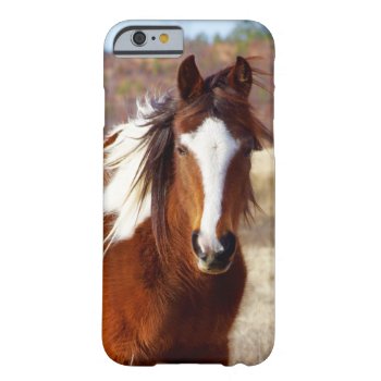 Beautiful Paint Horse Iphone 6 Case by WalnutCreekAlpacas at Zazzle