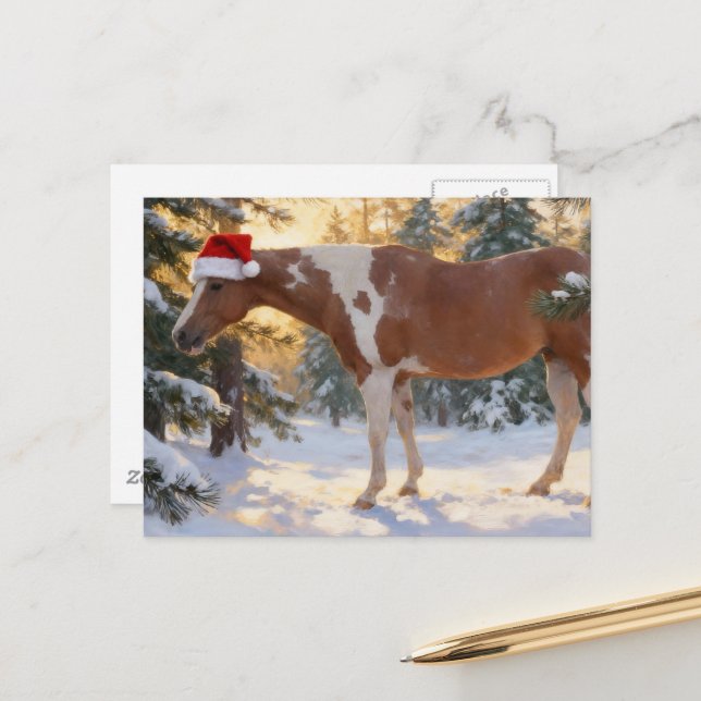 Beautiful Paint Horse Mare Christmas  Postcard (Front/Back In Situ)