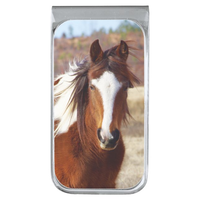 Beautiful Paint Horse Money Clip (Front Vertical)