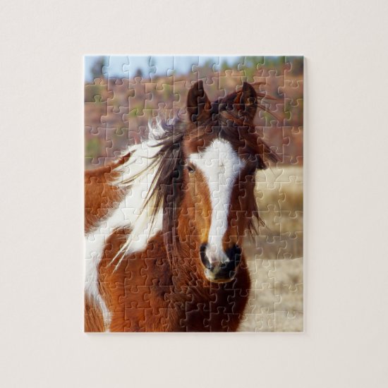 Beautiful Paint Horse Puzzle