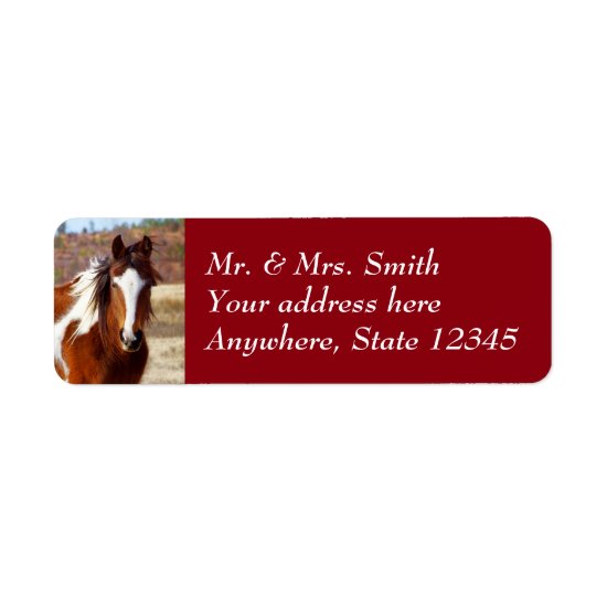 Beautiful Paint Horse Return Address Labels