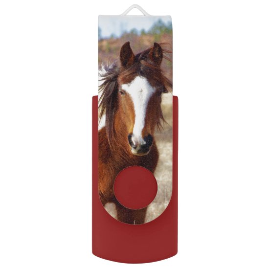 Beautiful Paint Horse Swivel USB 2.0 Flash Drive