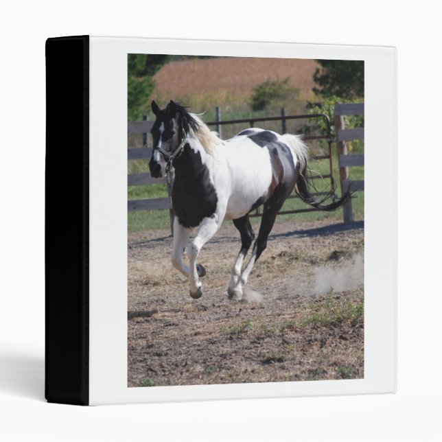 Beautiful Paint Pinto Horse 3 Ring Binder (Front/Spine)