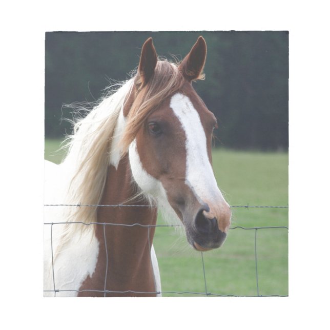 Beautiful Paint Pinto Horse at fence Notepad (Front)
