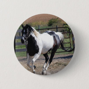 Beautiful Paint Pinto Horse Button