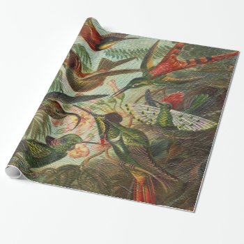 Beautiful Painted Vintage Birds Wrapping Paper by TeensEyeCandy at Zazzle