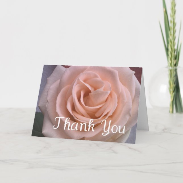 Beautiful Pale Pink Rose Thank You Card (Front)