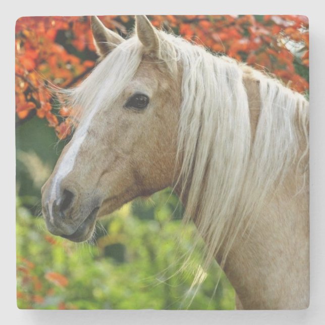 Beautiful Palomino Draft Horse Stone Coaster (Front)