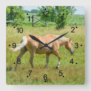 Beautiful Palomino Horse Countryside Square Wall Clock