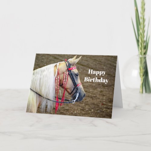 Beautiful Palomino Horse Photo Birthday Card