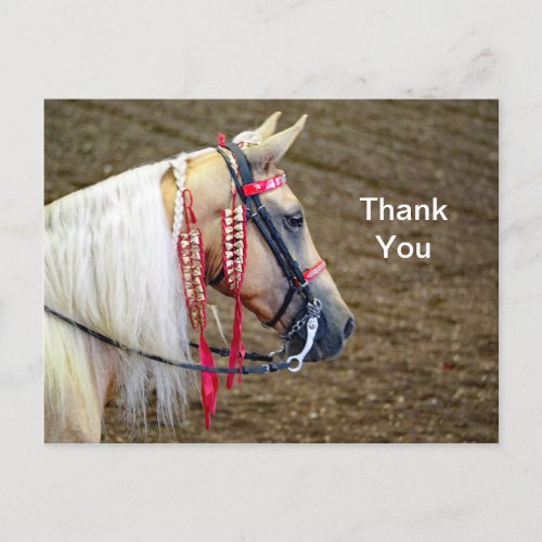 Beautiful Palomino Horse Photo Thank You Postcard