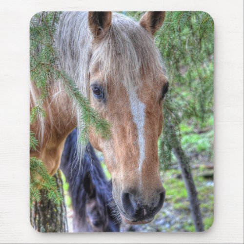 Beautiful Palomino Paint Horse  Branches in Rain Mouse Pad