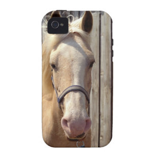 Beautiful Palomino Yellow Horse iPhone 4 Case