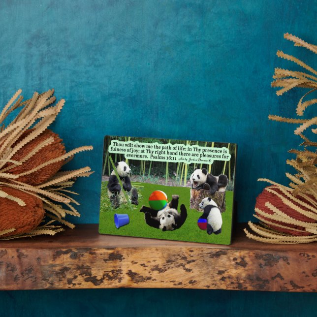 Beautiful Panda Scripture Plaque Psalms 16:11 (Side)