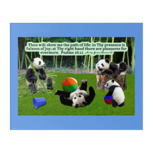 Beautiful Panda Scripture: Psalms 16:11 Acrylic Print