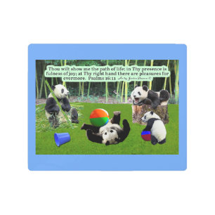 Beautiful Panda Scripture: Psalms 16:11 Metal Print