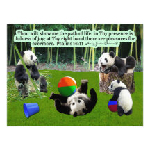 Beautiful Panda Scripture: Psalms 16:11,