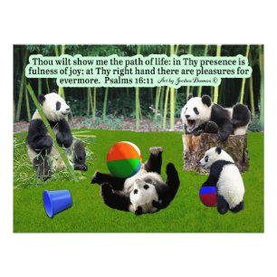Beautiful Panda Scripture: Psalms 16:11, Photo Print