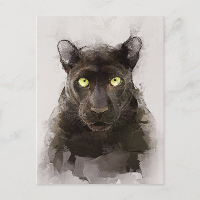 Beautiful Panther Portrait Postcard (Front)