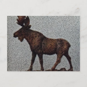 Beautiful Park City Moose Gear Postcard