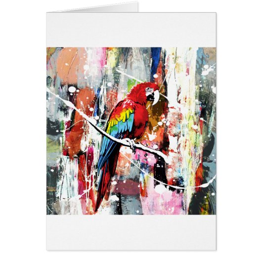 Beautiful Parrot Cards (Front)