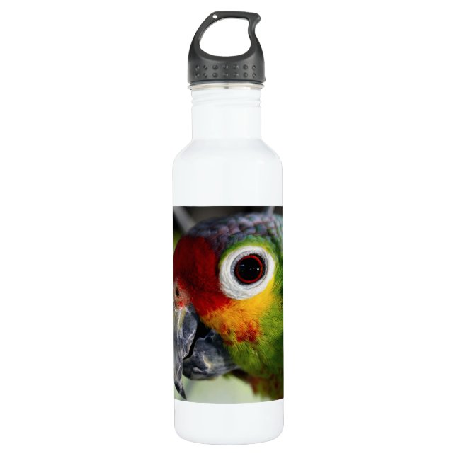 Beautiful Parrot Water Bottle (Front)